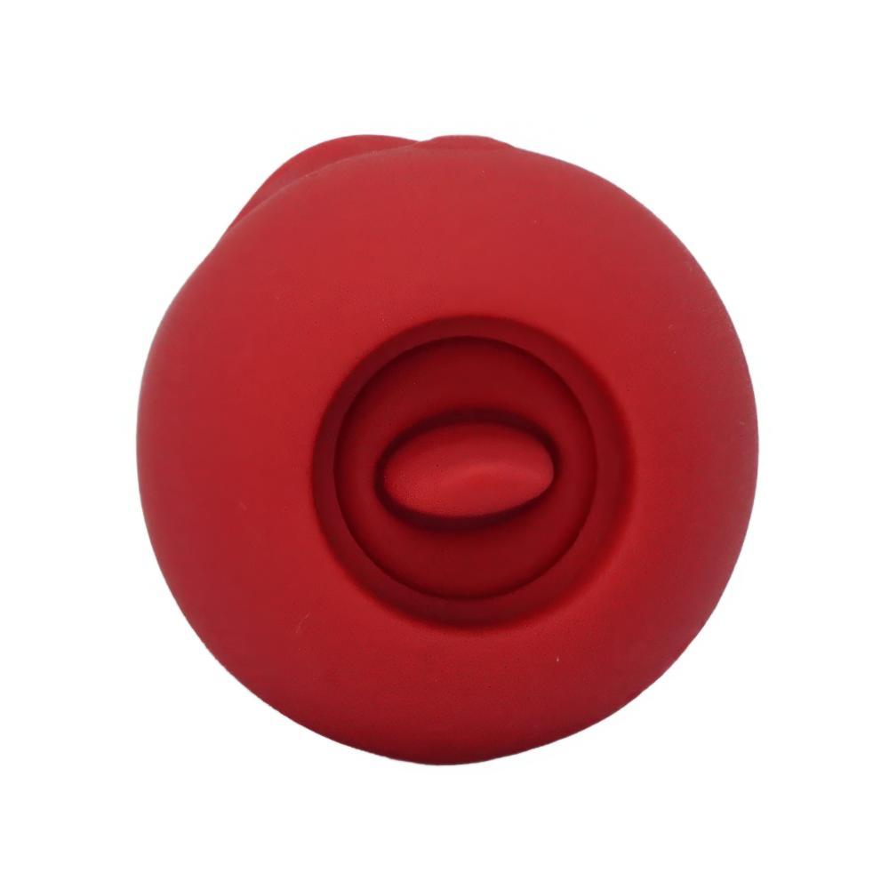 Τριαντάφυλλο sucking και licking - Image 7